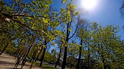 Temperaturas bajan considerablemente: ¿Cómo estará el tiempo en la RM este fin de semana?
