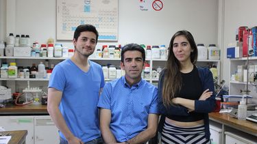 Científicos chilenos descubrieron la causa que explica la disminución de la población de abejas a nivel mundial
