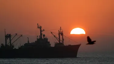 Flota de barcos chinos es fiscalizada frente a las costas de Iquique ante denuncias de pesca ilegal de jibia