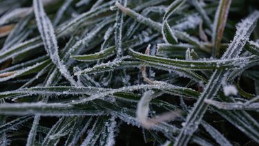Heladas intensas de hasta -4°C en la Región Metropolitana: Emiten Alerta Meteorológica por alta presión fría