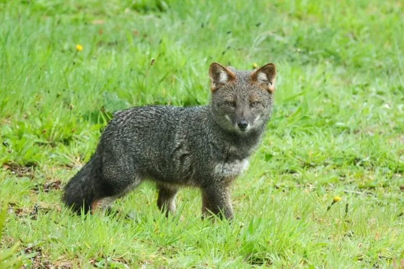 30162 diseno sin titulo 2026 02 18t105446.webp