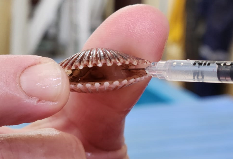 unnamed e1713811242815.png