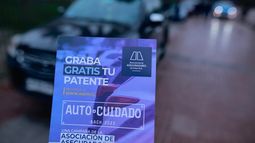 Grabado de patentes en vidrios de autos: Hasta $45 mil su costo y multas de hasta $90.000