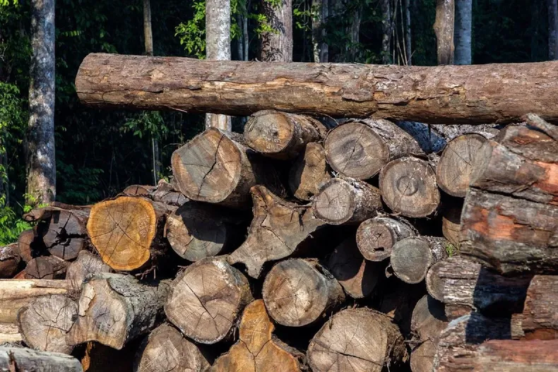 27139 diseno sin titulo 26.webp